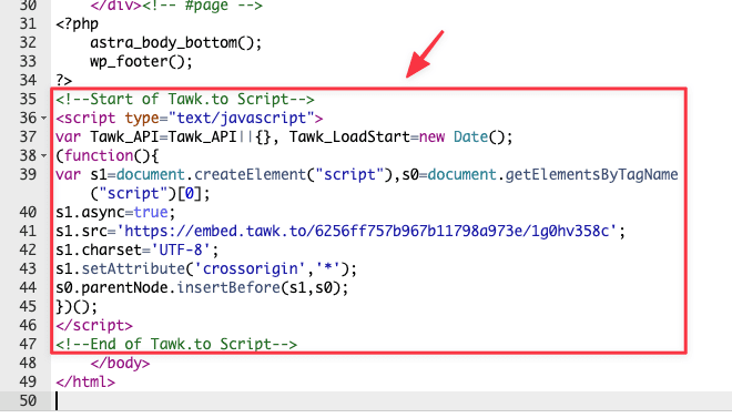 Sử dụng mã Tawk.to