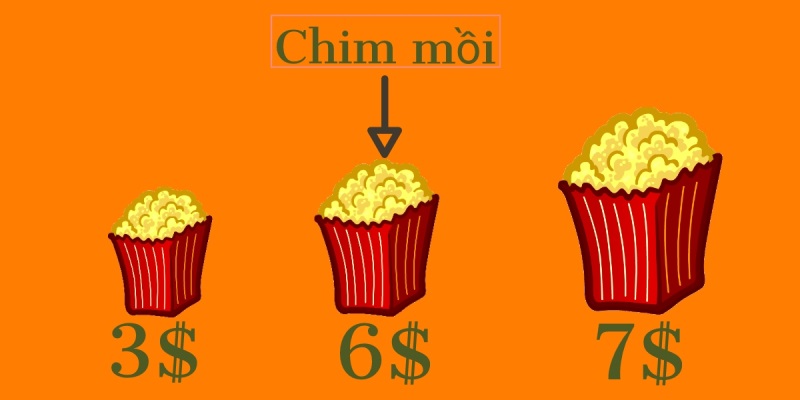 Hiệu ứng chim mồi là gì?