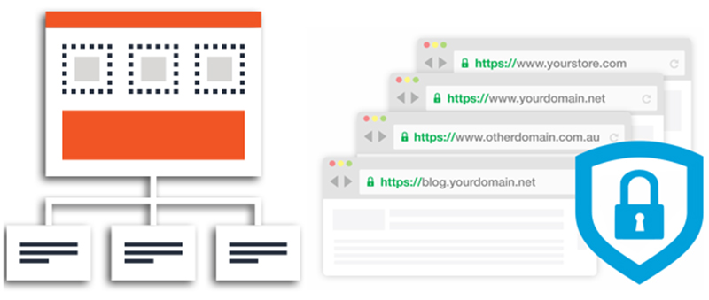 multi domain website