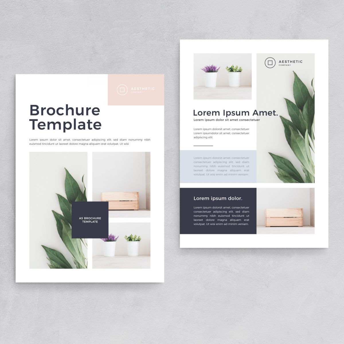 Kích thước giấy in Catalogue