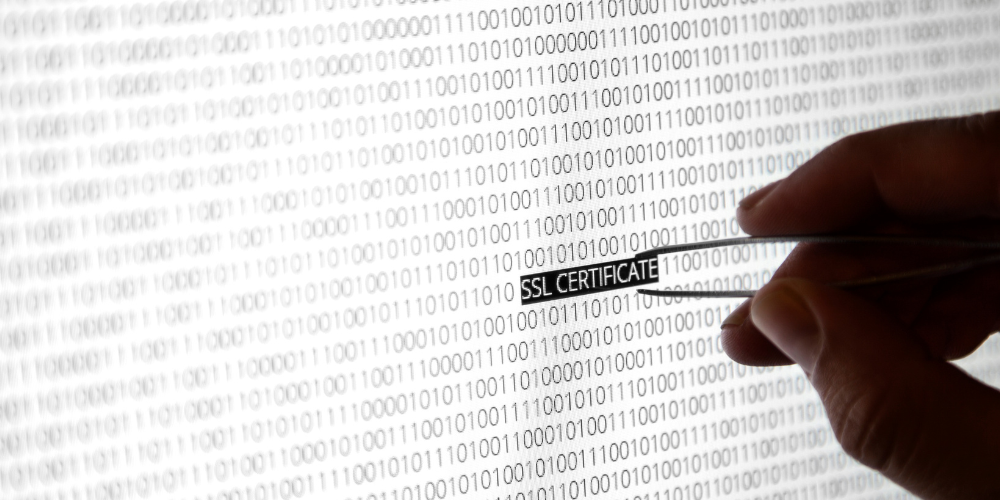 Các thành phần của SSL